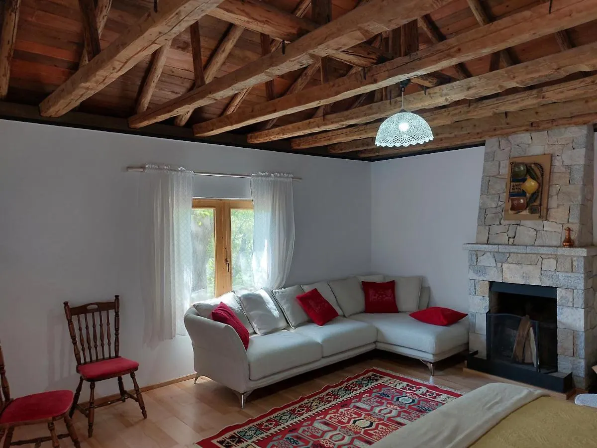 Guest house Vila Rira - Rrajce, Shebenik Perrenjas
