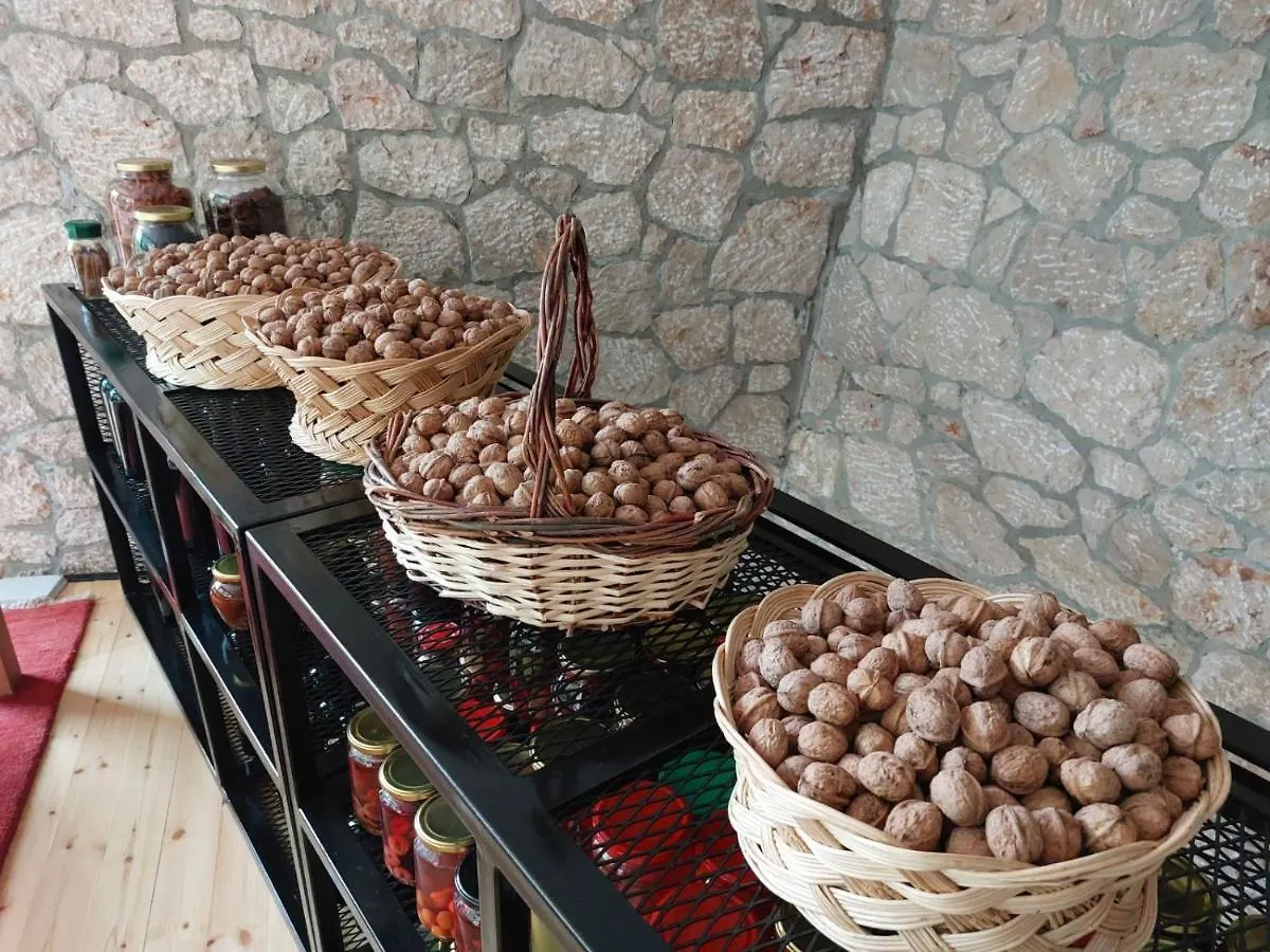 Πανσιόν Vila Rira - Rrajce, Shebenik Perrenjas