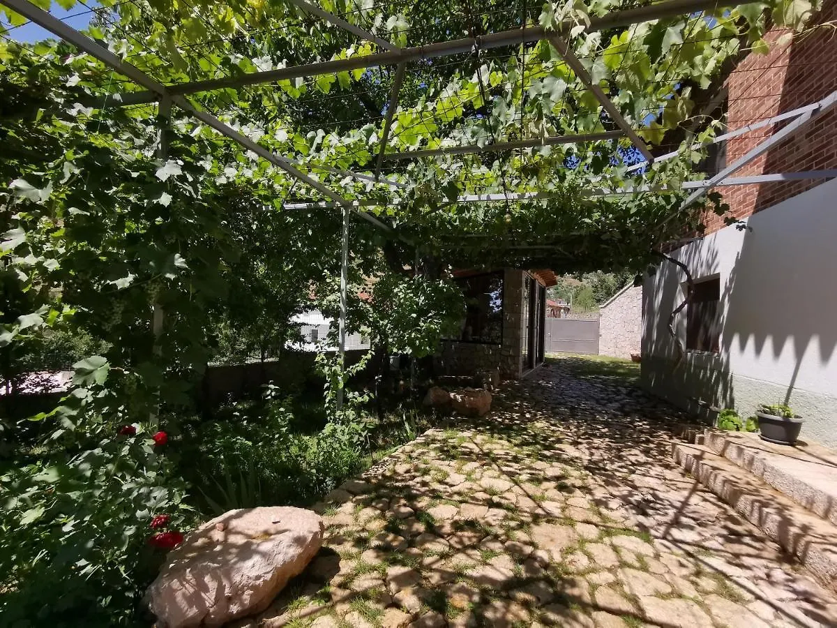 Guest house Vila Rira - Rrajce, Shebenik Perrenjas