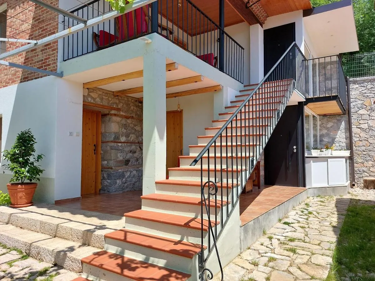 Vila Rira - Rrajce, Shebenik Perrenjas Guest house